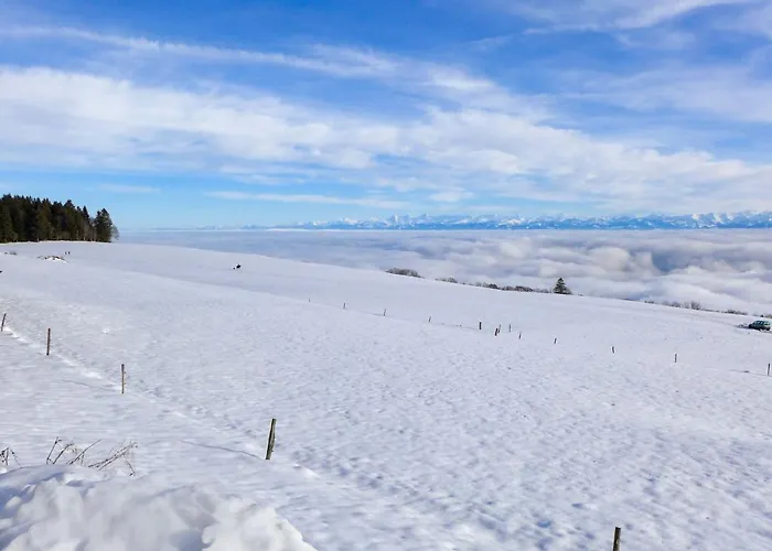 La Fretaz By Interhome Alpesi faház Bullet